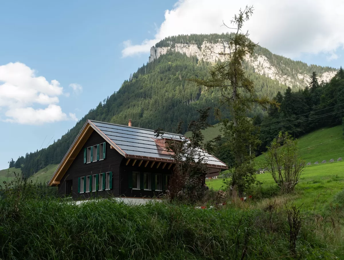 Ein neu gebautes Haus im grünen mit einer dunklen Fassade mit grünen Fensterläden, schalousien.