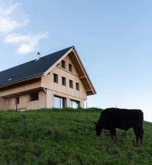 Ersatzneubau Wohnhaus | Truber Holz  Mit Leidenschaft fürs Handwerk und die Natur ist dieses Wohnhaus auf der Basis von Truber Holz entstanden – regional, nachhaltig und zeitlos schön.  Die moderne Architektur fügt sich harmonisch in die sanfte Hügellandschaft ein. Innen wie außen spürt man die Wärme und Beständigkeit des einheimischen Holzes.  Mehr über unsere Projekte und die Kraft des Truber Holzes erfährst du auf:  www.truberholz.ch