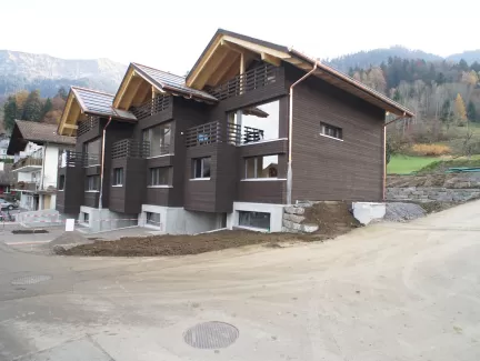 Reiheneinfamilienhaus konsequent in Holz, gesundes Innenraumklima durch Abschirmung von Elektrosmog. Materialien wie z.B. Radiatoren aus Gebrauchtwarenhandel