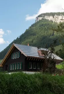 Ein neu gebautes Haus im grünen mit einer dunklen Fassade mit grünen Fensterläden, schalousien.