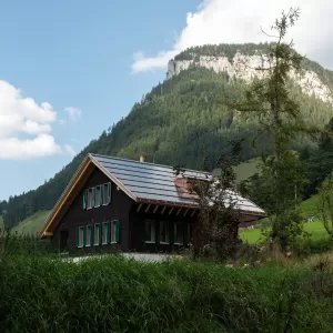 Ein neu gebautes Haus im grünen mit einer dunklen Fassade mit grünen Fensterläden, schalousien.