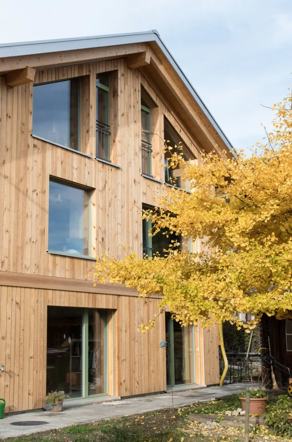 Aussenansicht eines mehrgeschossigen Wohnhauses in moderner Holzbauweise mit senkrechter Holzfassade und grossen Fenstern. Vor dem Gebäude steht ein Baum mit gelben Herbstblättern, der Teile der Fassade überragt. Der Eingangsbereich und der Garten mit Pflanzen und Pflasterflächen sind im Vordergrund sichtbar, bei hellem Tageslicht.